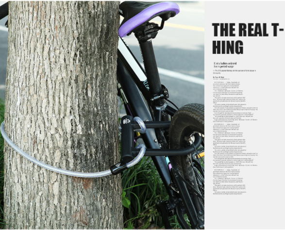 bike_lock_and_cable_3_SMMH7FFY2SZ9.png